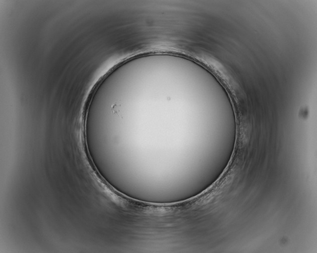 X0000100331286200806121119