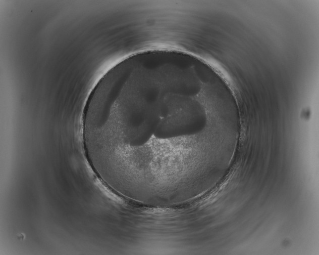 X0000100331287200806121119