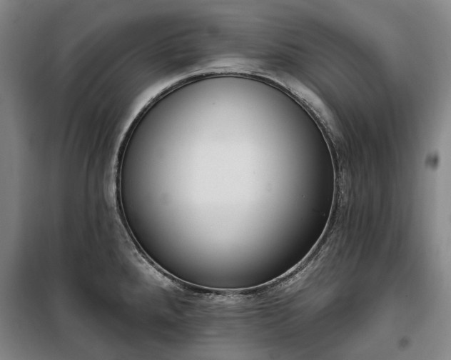 X0000100331288200806121119