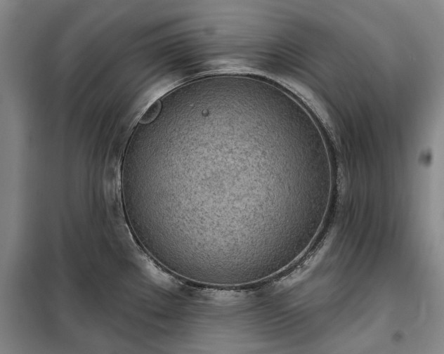 X0000100331289200806121119