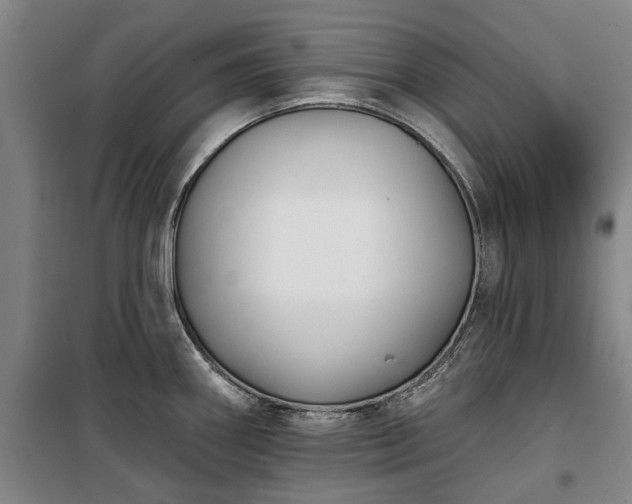 X0000100331290200806121119