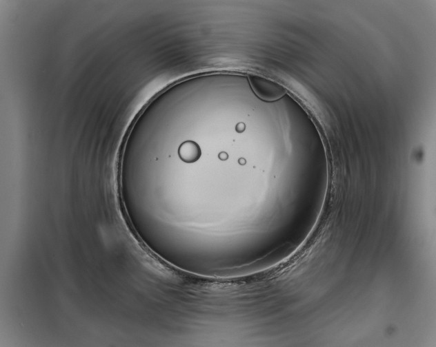 X0000100331291200806121119