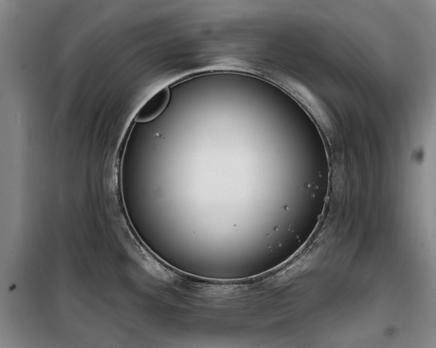 X0000100331292200806121119