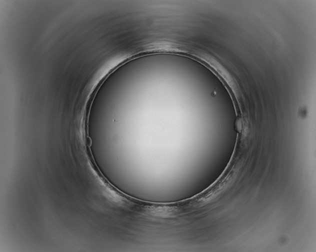 X0000100331293200806121119