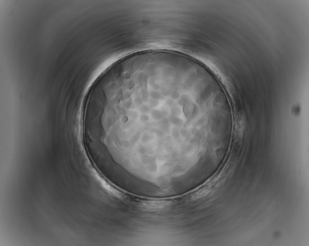 X0000100331294200806121119