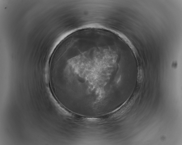 X0000100331295200806121119