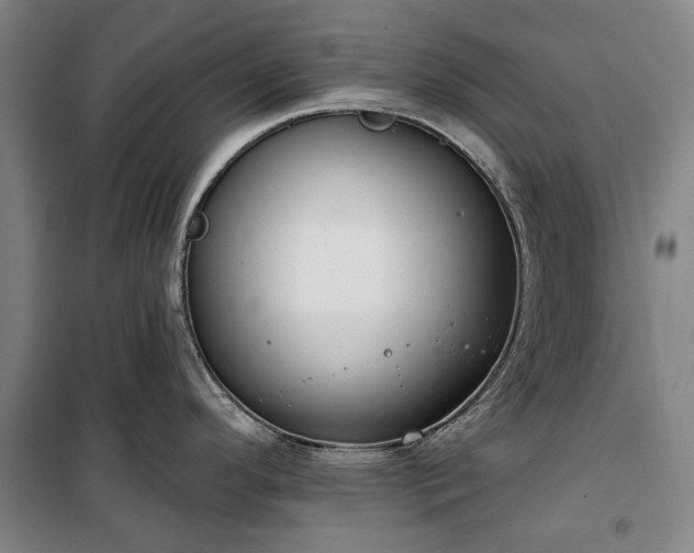 X0000100331296200806121119