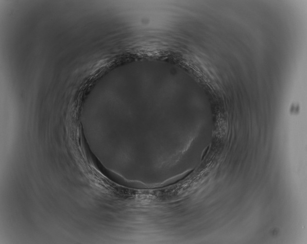 X0000100331297200806121118