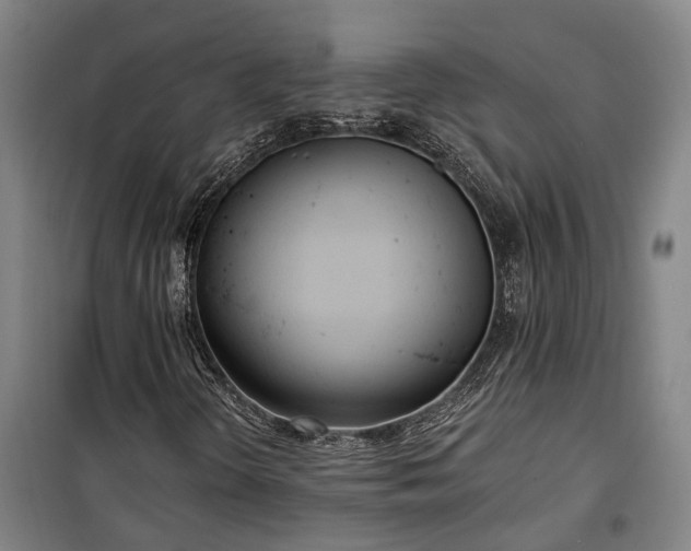 X0000100331298200806121118