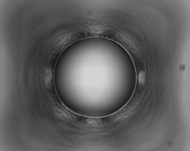 X0000100331299200806121118