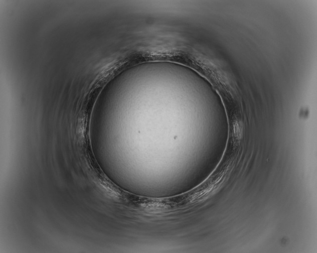 X0000100331300200806121118