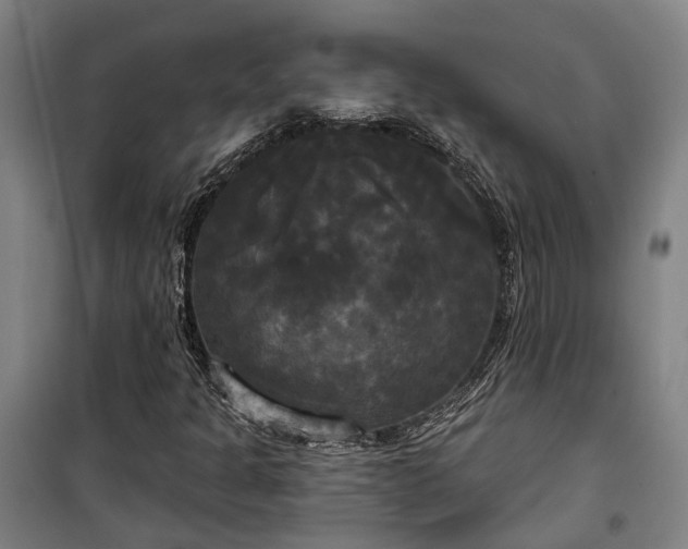 X0000100331301200806121118