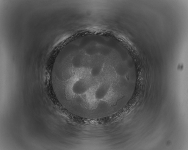 X0000100331302200806121118