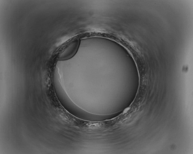 X0000100331303200806121118