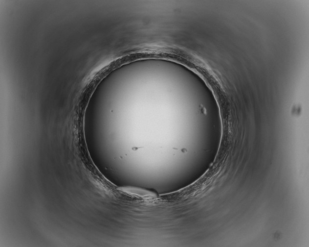 X0000100331304200806121118