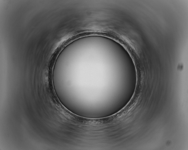 X0000100331307200806121118