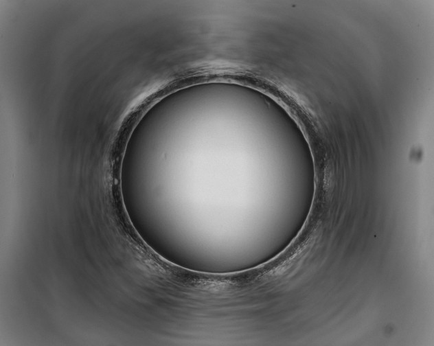 X0000100331309200806121118