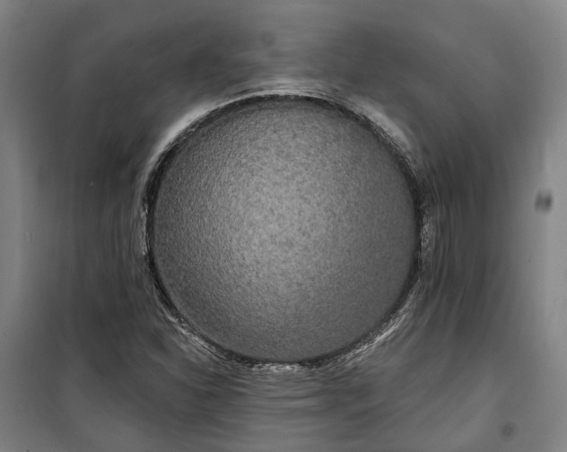 X0000100331310200806121118