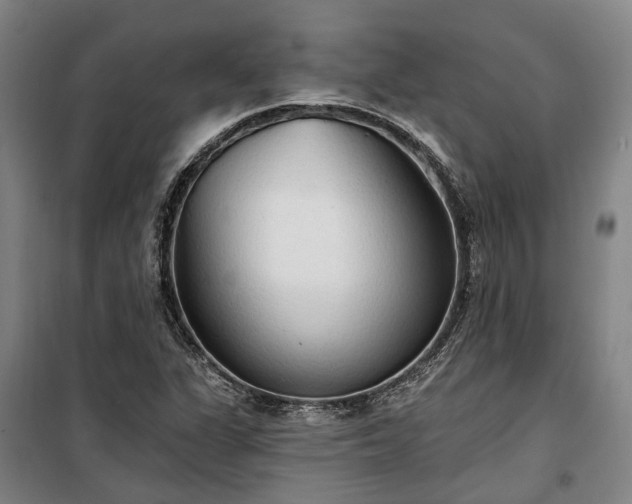 X0000100331311200806121118