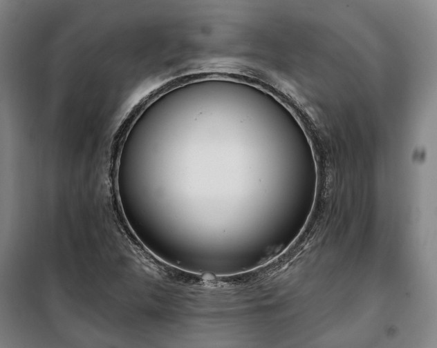 X0000100331312200806121118