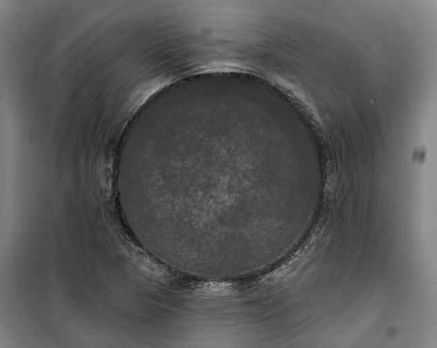 X0000100331313200806121118