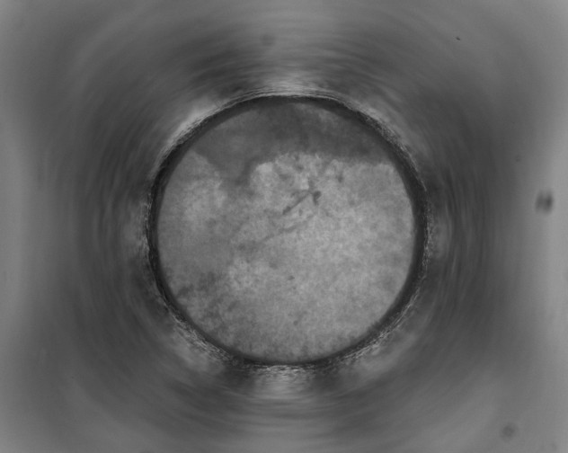 X0000100331314200806121118