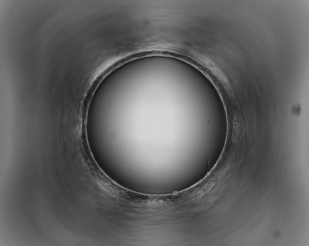 X0000100331316200806121118