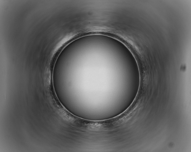 X0000100331317200806121118