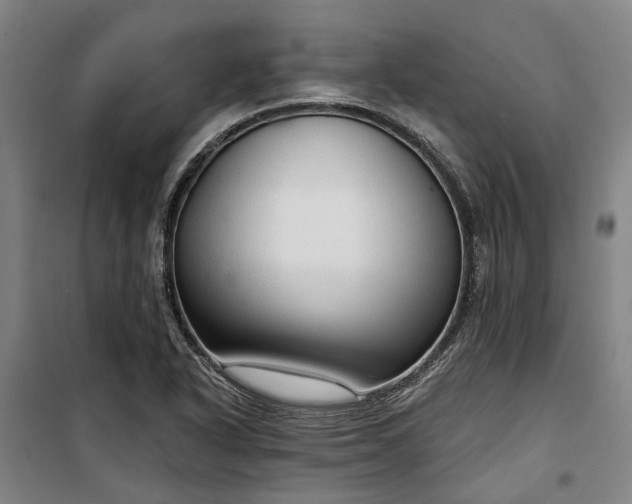 X0000100331318200806121118