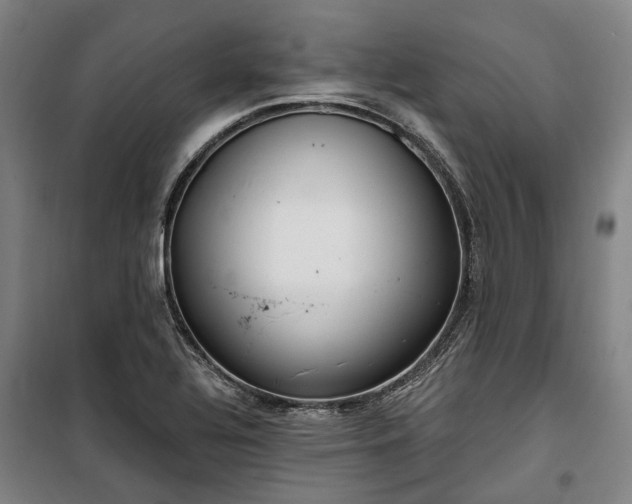 X0000100331320200806121118