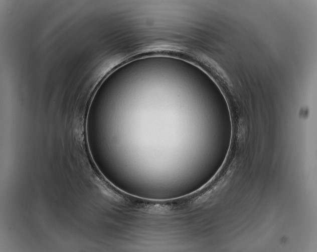 X0000100331321200806121118