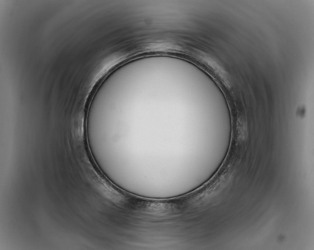 X0000100331322200806121118