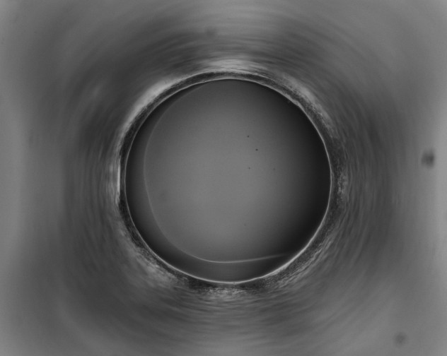 X0000100331323200806121118