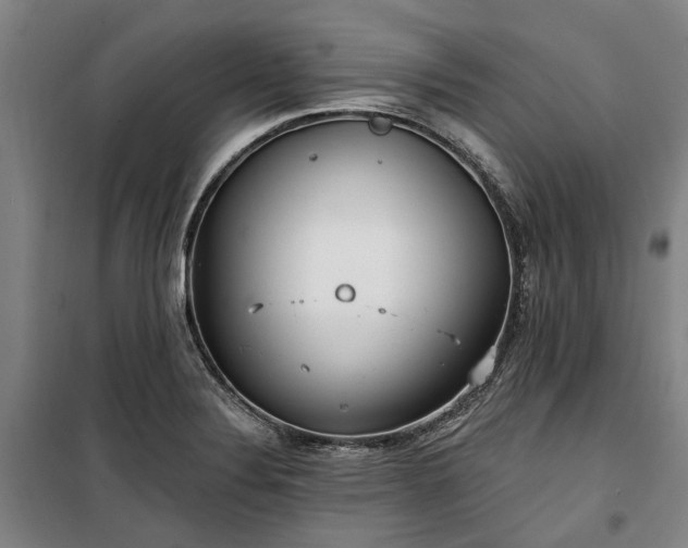 X0000100331324200806121118