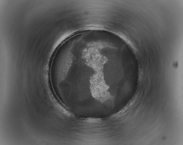 X0000100331325200806121118