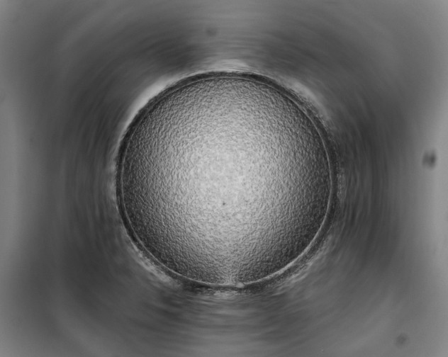 X0000100331326200806121118