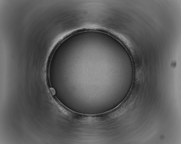 X0000100331327200806121118