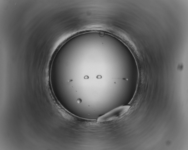 X0000100331328200806121118