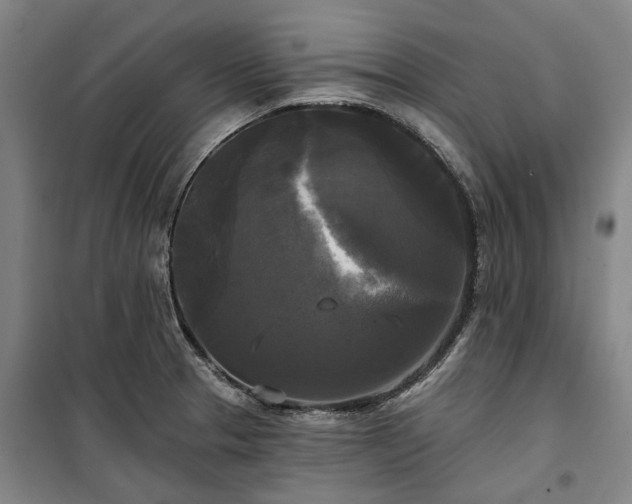 X0000100331329200806121118