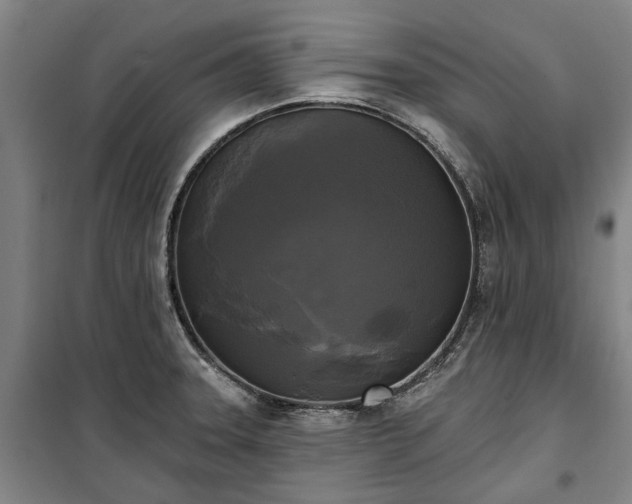 X0000100331331200806121118