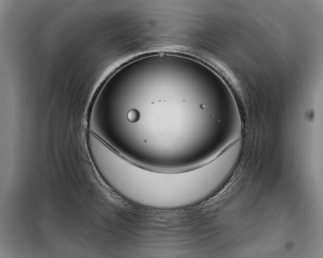 X0000100331332200806121118