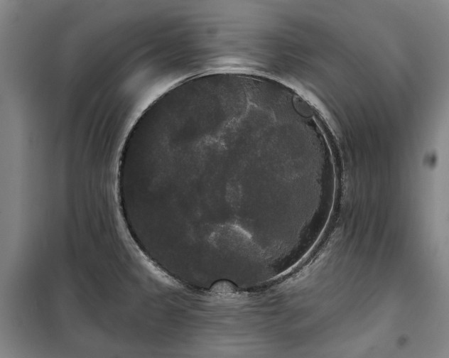 X0000100331333200806121119