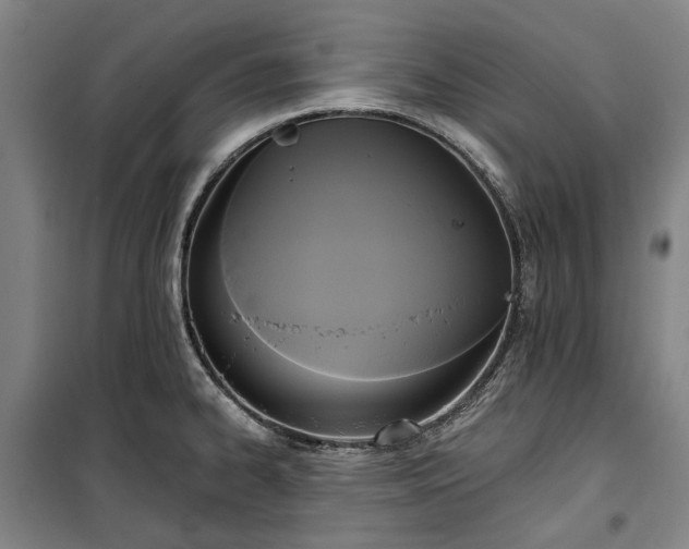 X0000100331334200806121119