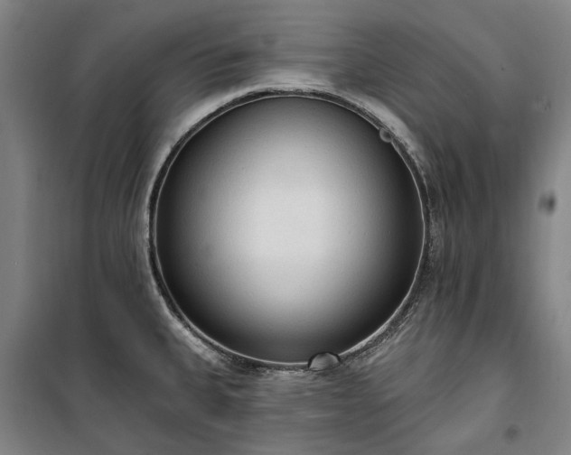 X0000100331335200806121119