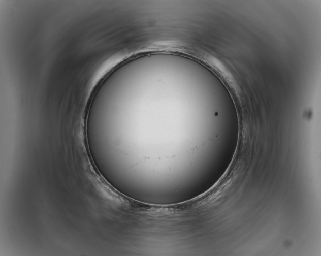 X0000100331336200806121119