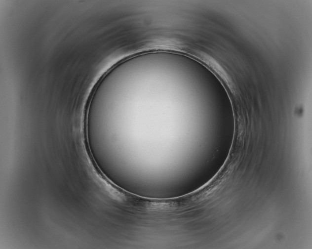 X0000100331339200806121119