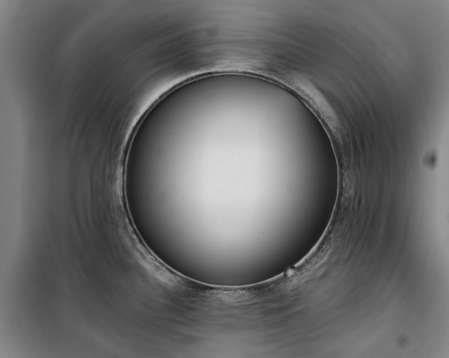 X0000100331340200806121119