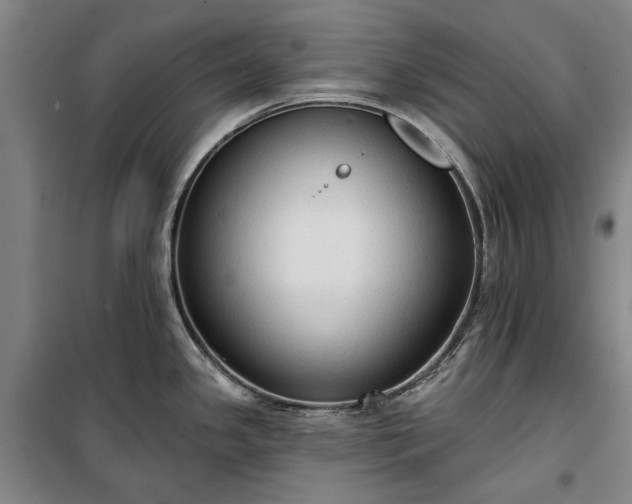 X0000100331341200806121119