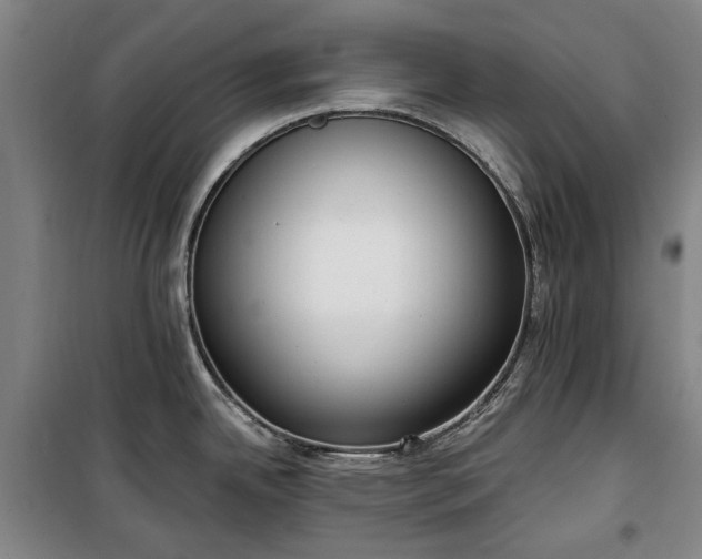 X0000100331342200806121119