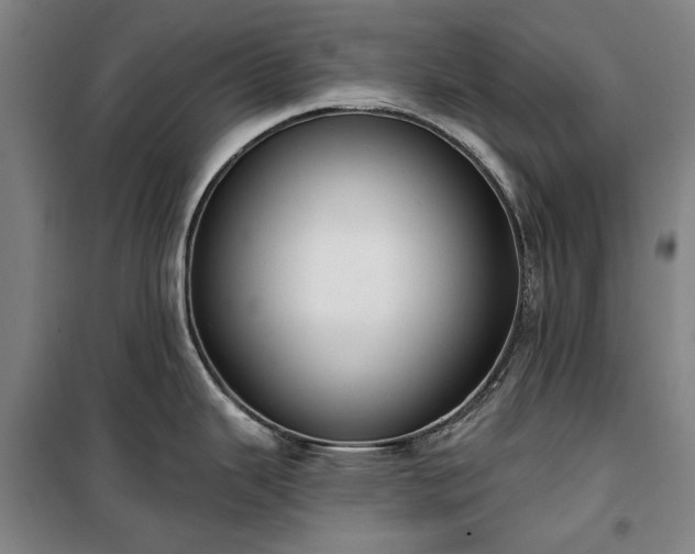 X0000100331343200806121119